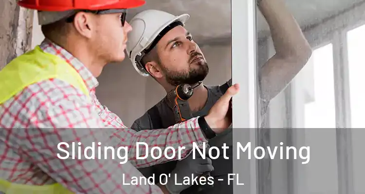 Sliding Door Not Moving Land O' Lakes - FL