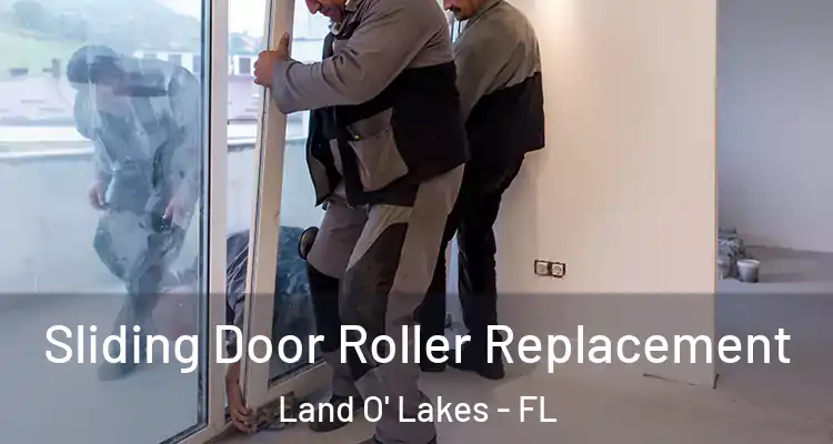 Sliding Door Roller Replacement Land O' Lakes - FL