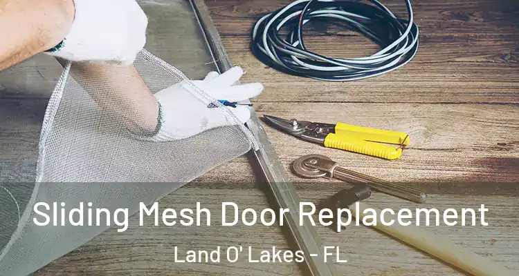 Sliding Mesh Door Replacement Land O' Lakes - FL