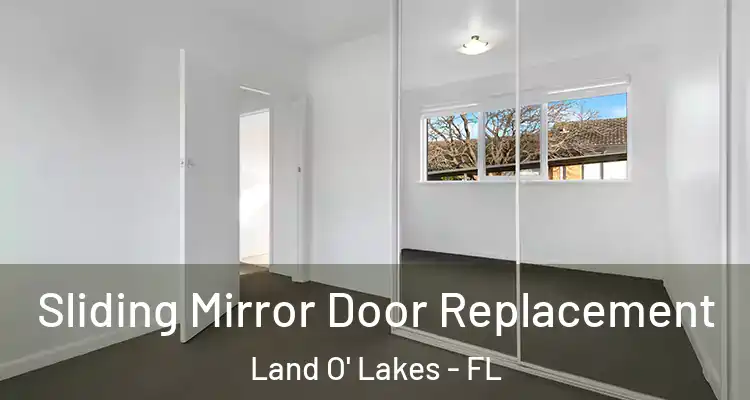 Sliding Mirror Door Replacement Land O' Lakes - FL