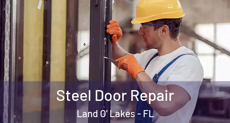 Steel Door Repair Land O' Lakes - FL
