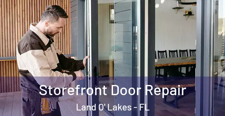 Storefront Door Repair Land O' Lakes - FL