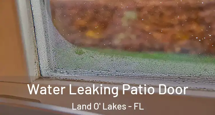 Water Leaking Patio Door Land O' Lakes - FL