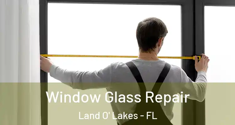 Window Glass Repair Land O' Lakes - FL