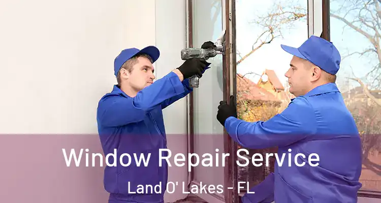 Window Repair Service Land O' Lakes - FL