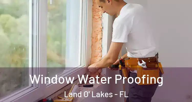 Window Water Proofing Land O' Lakes - FL