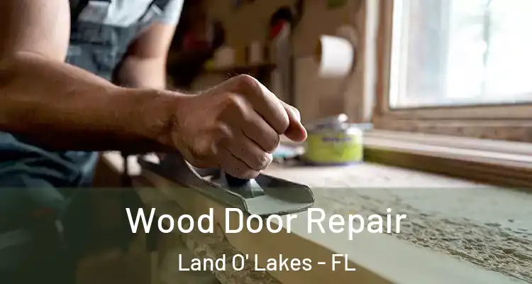 Wood Door Repair Land O' Lakes - FL